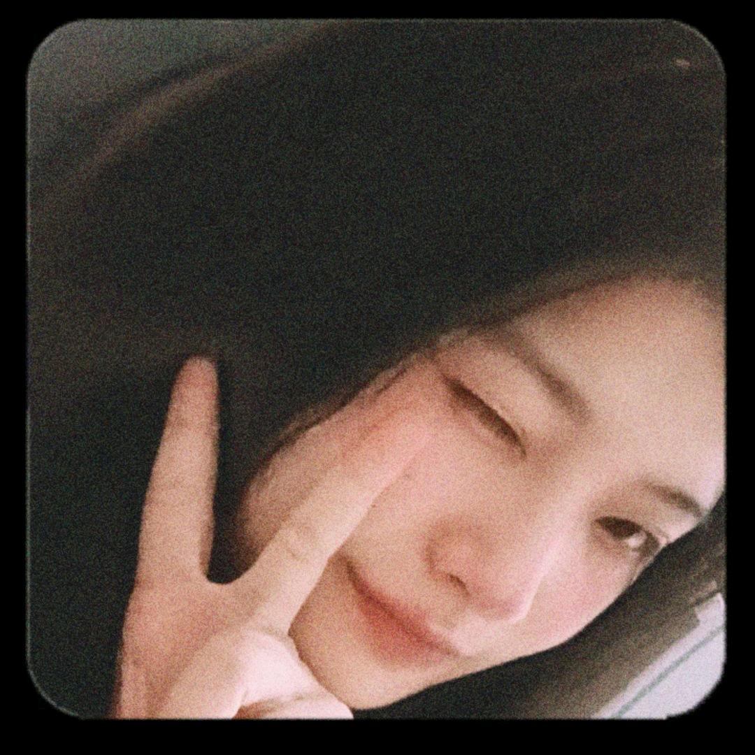 种向日葵🌻的女鹅