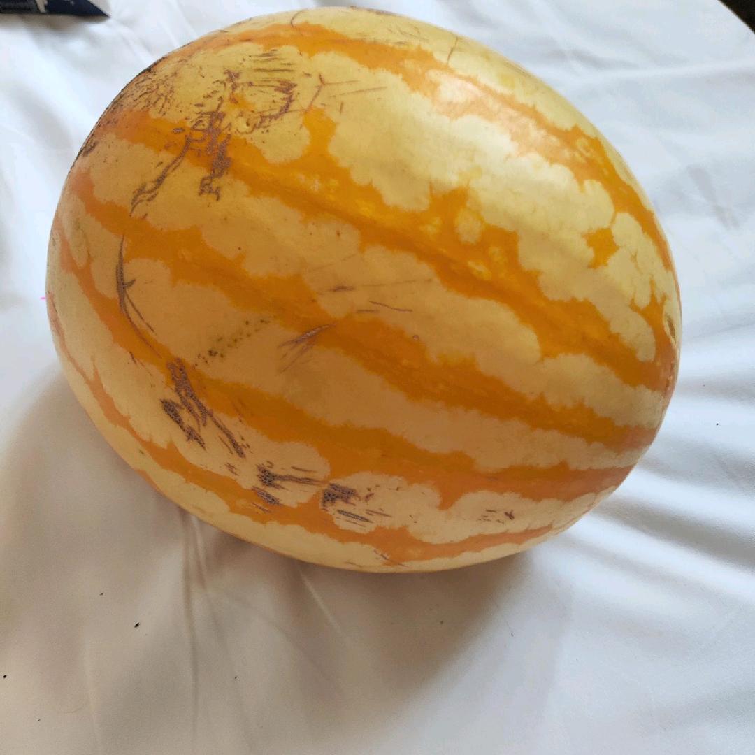 阿宝宝