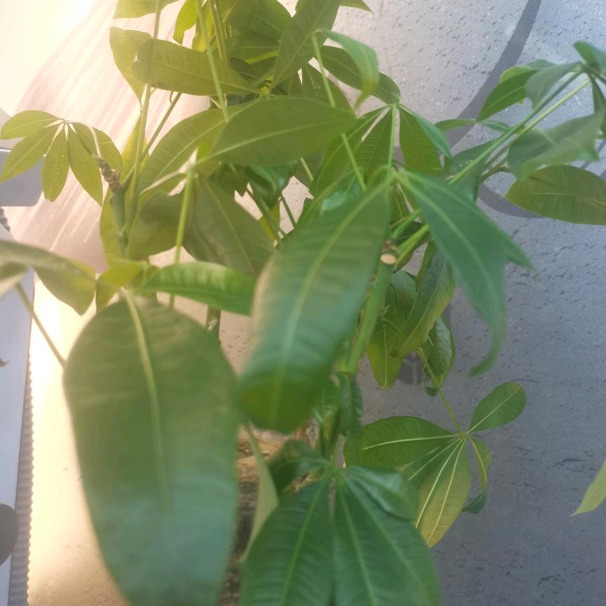 满满