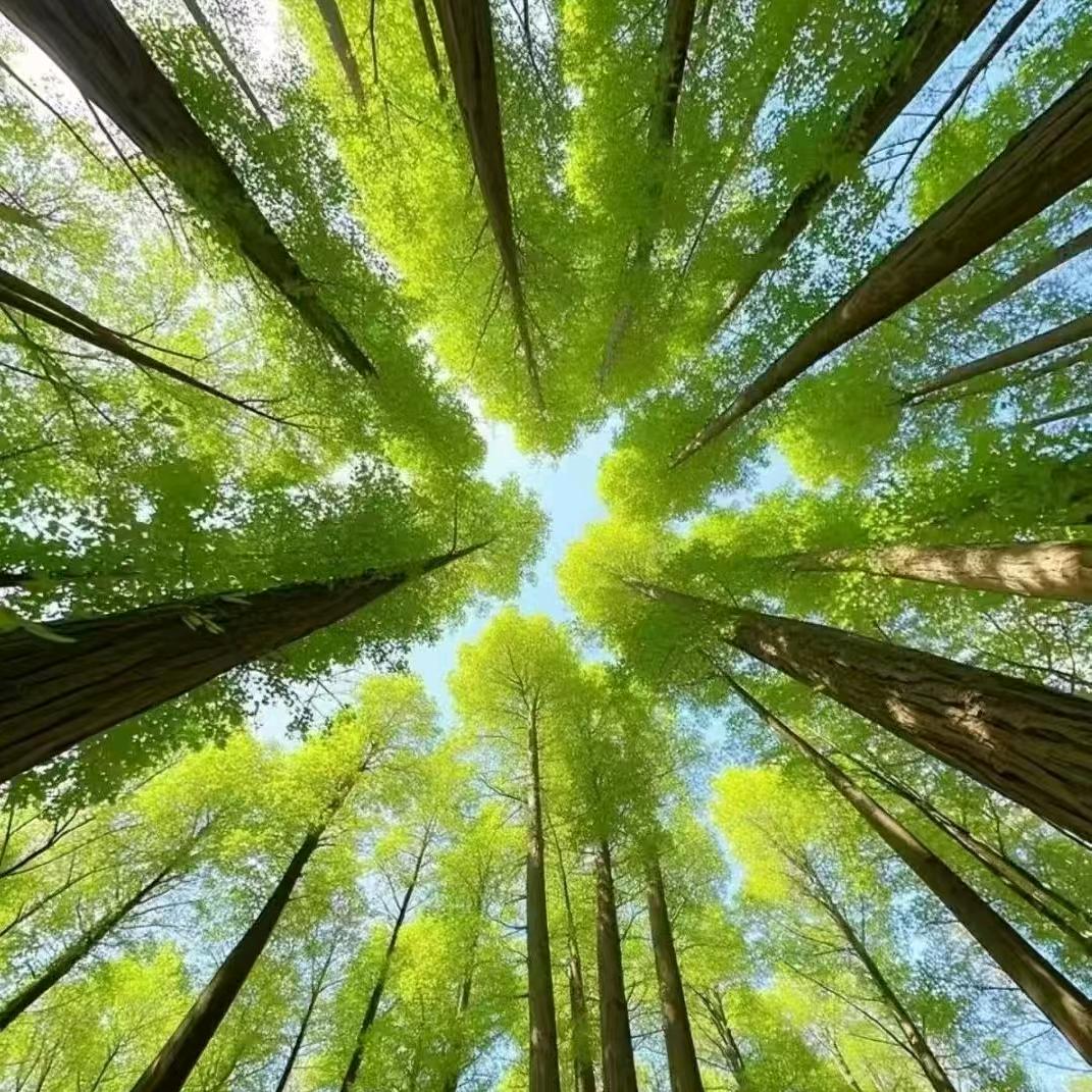 山东泰安中医药产品贴牌加工生产