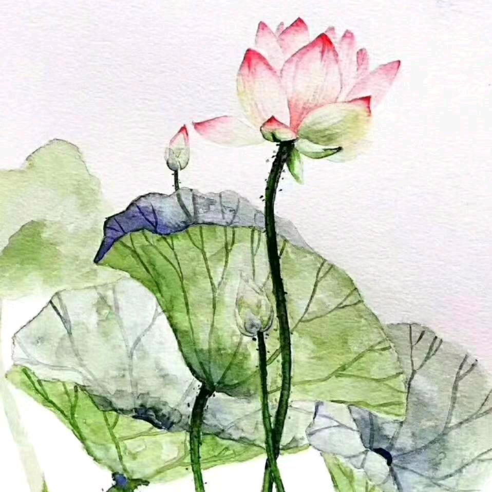 东北