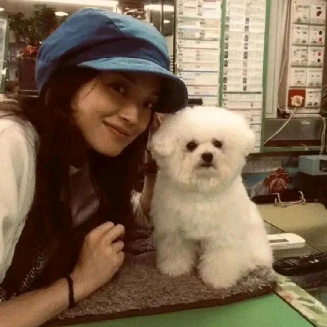 好好