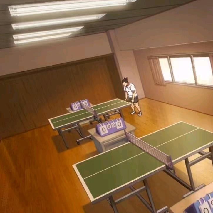 核动力小白球🏓