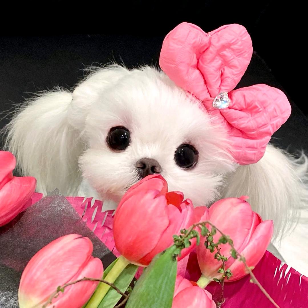 蜡笔小欣💕