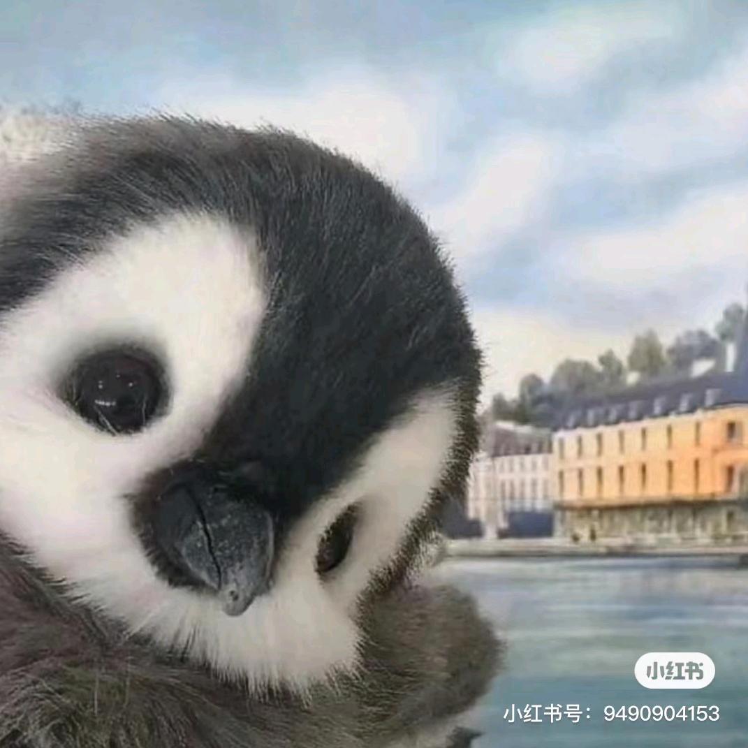 旺仔牛奶里加香菜