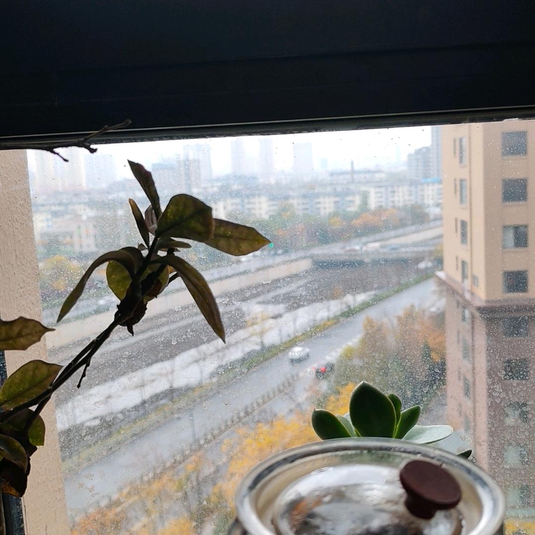 晋