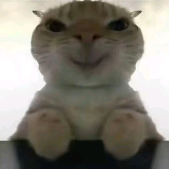 ⁰⁹²⁸