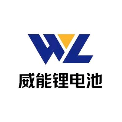 威能锂电池生产厂家