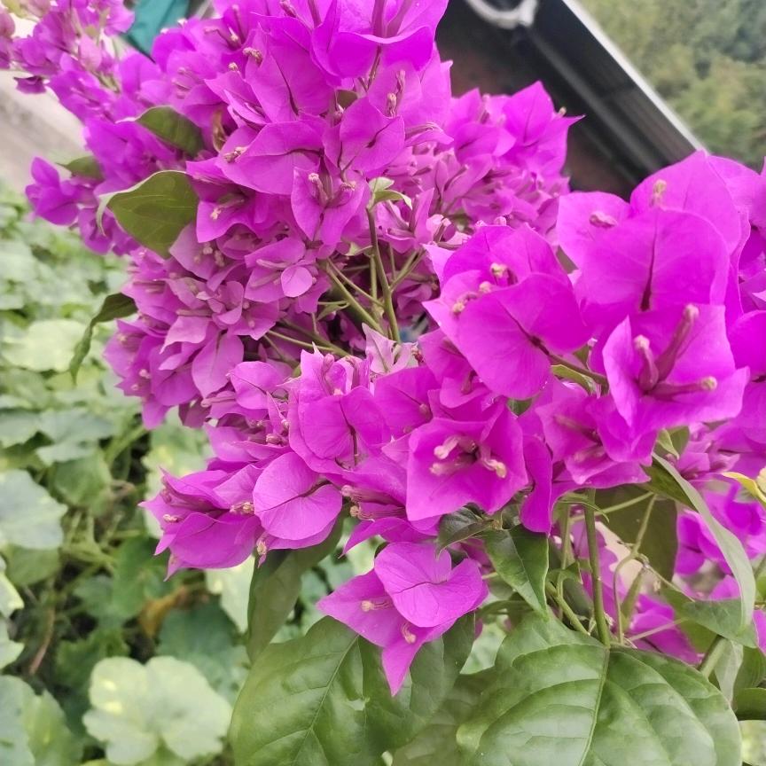 姐的范