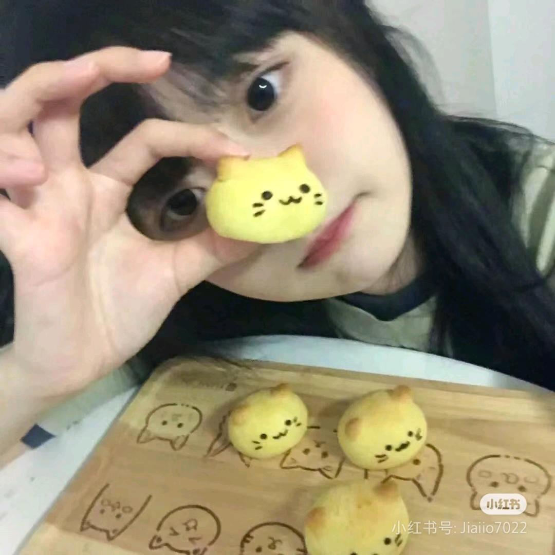 小猫碎碎念👣