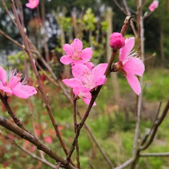 用户9010806063895.