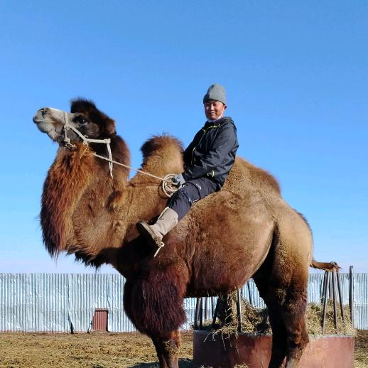 阿木日吉日嘎拉