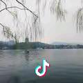 四川赛维