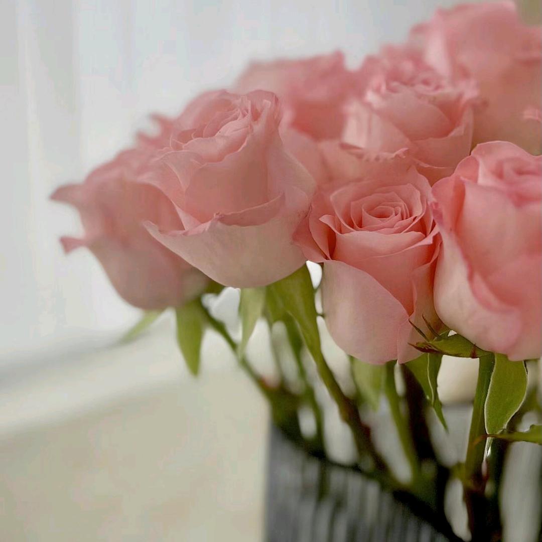 悦己🌷