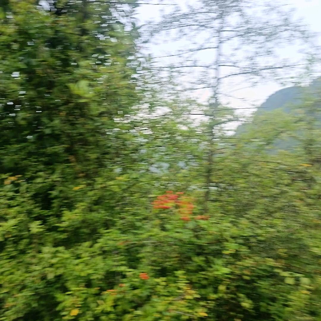红尘
