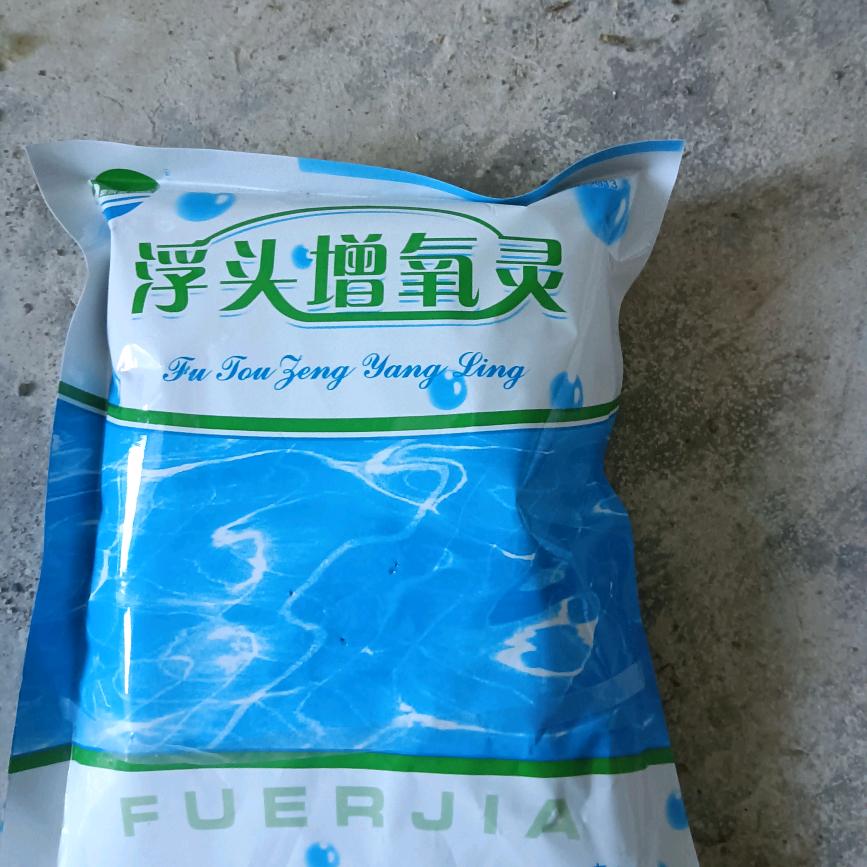 氧鱼🐟人家