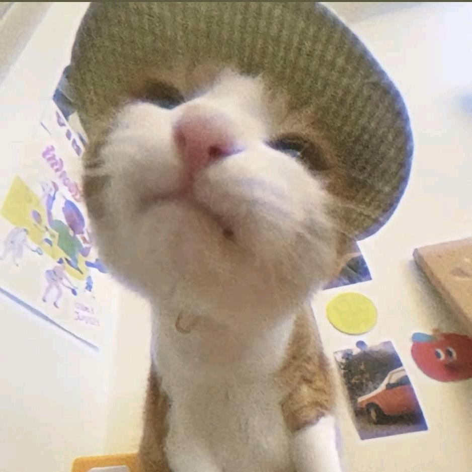 要睡觉咯