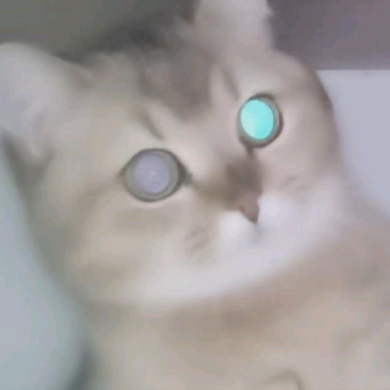 天累