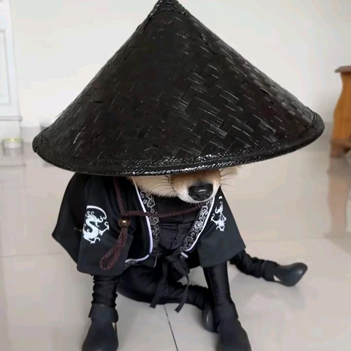 胖，，，，