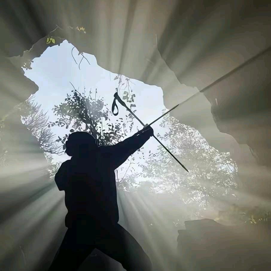 花开富贵，鸟语花香。