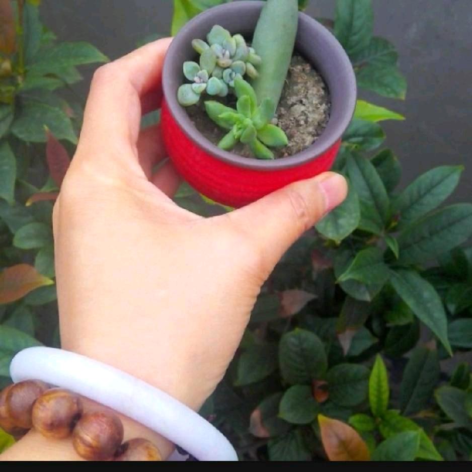 全屋定制工厂   优品尚家崔