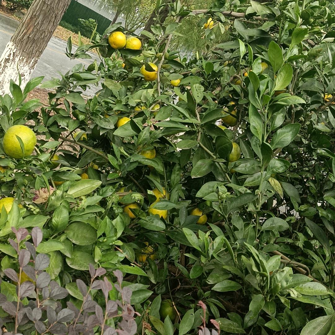 从新开始    往事已清零