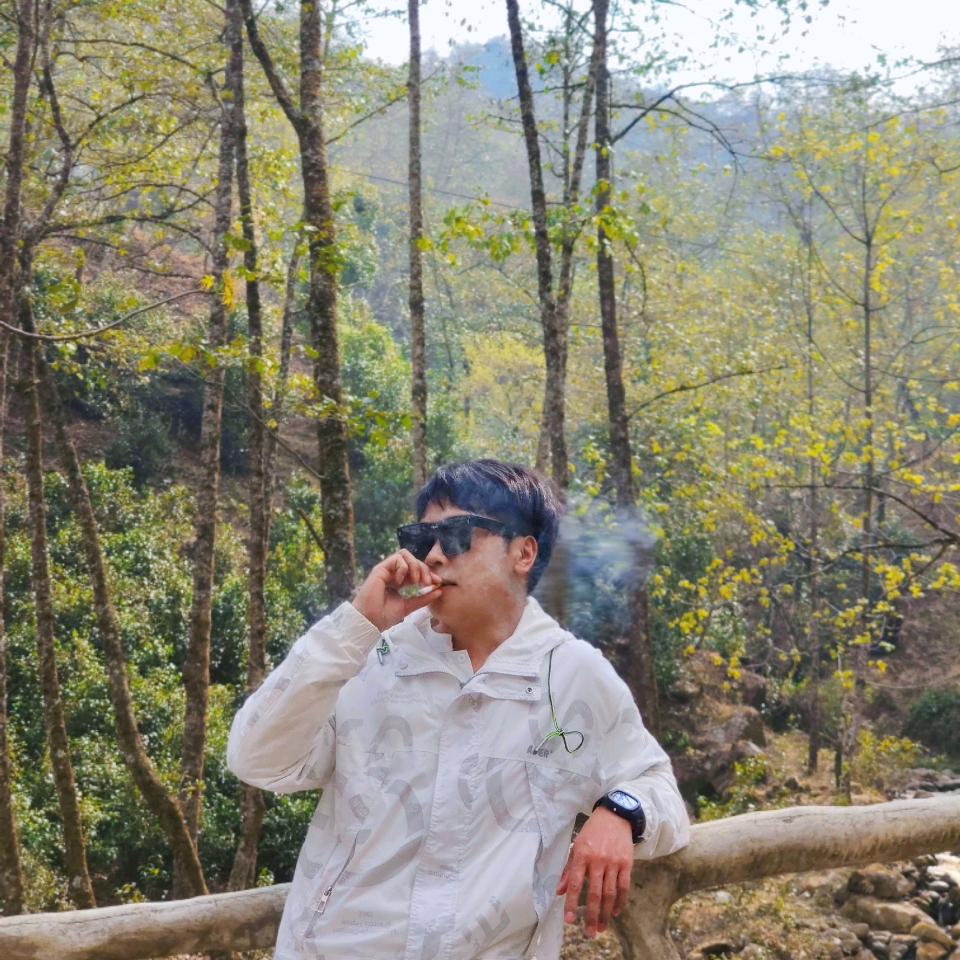 源茶白莺山