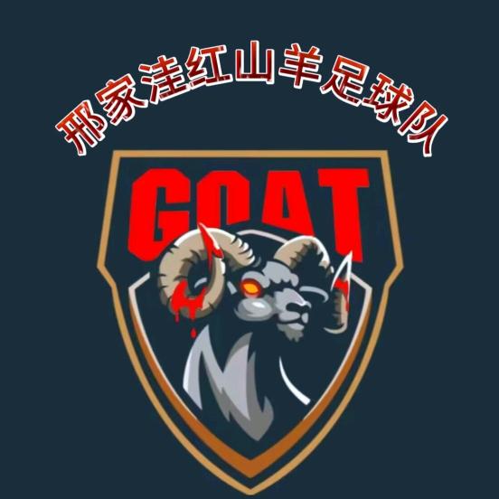 邢家洼红山羊足球队