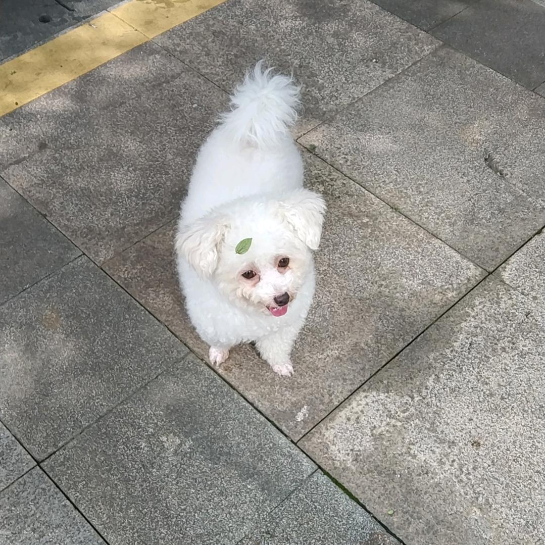 @等你