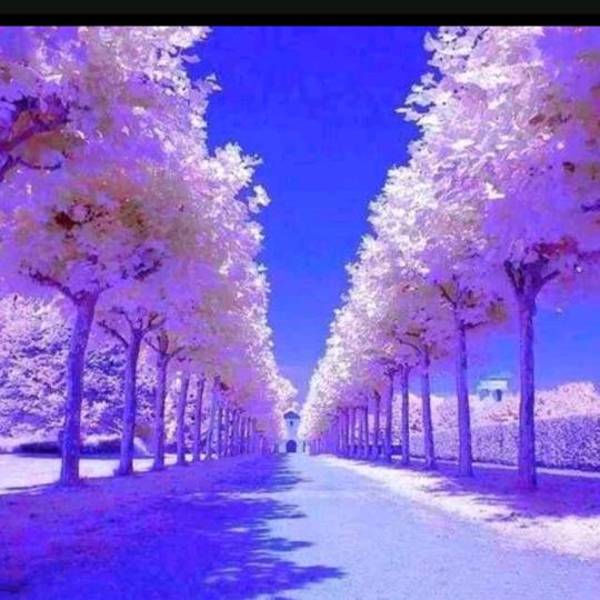 🦋欧阳静丽🦋