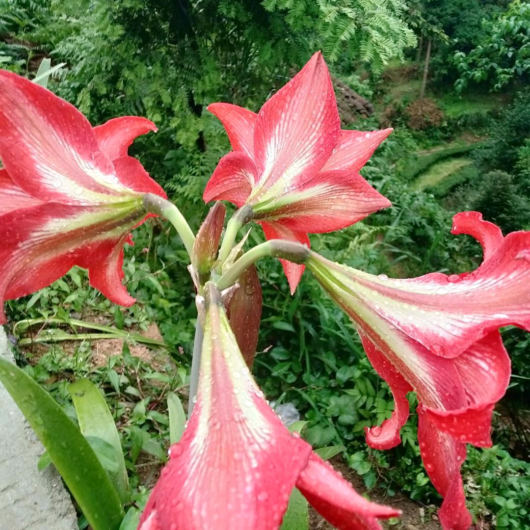 @夏天