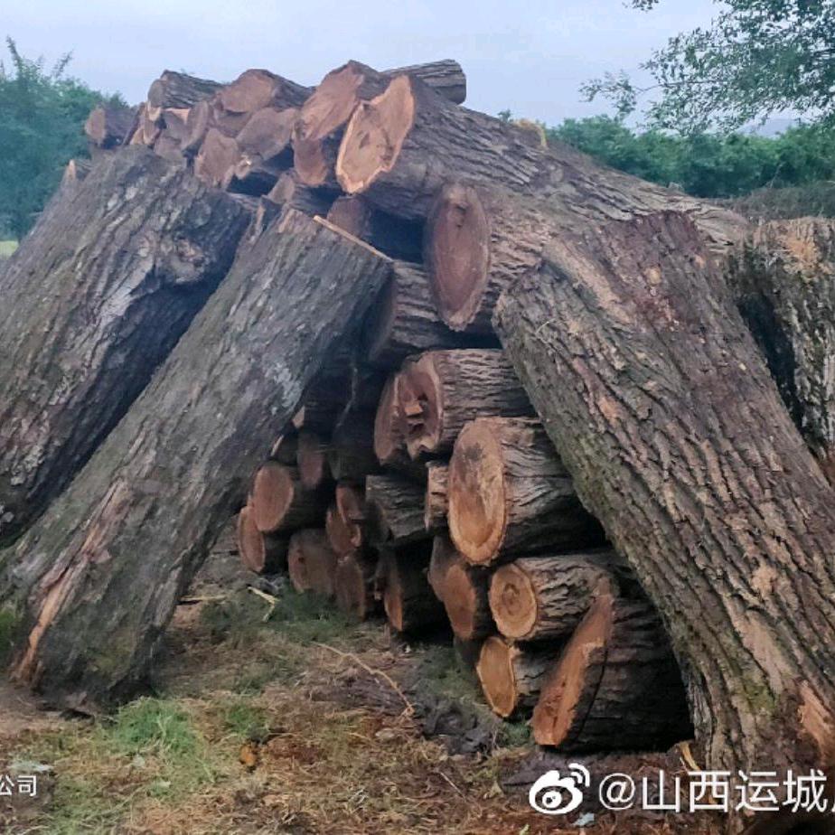 山西玩木头的