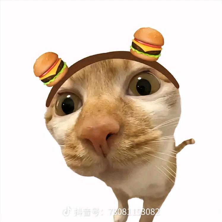 不经大破何以成杰