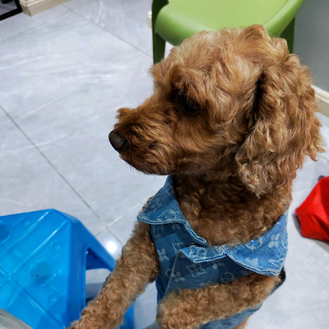 乡间小茅卢先生