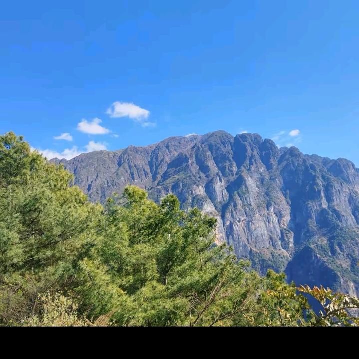 开❤️就好🌸🌸