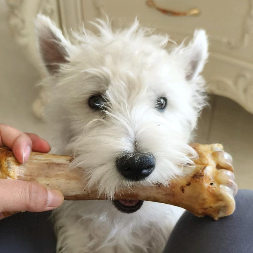 钞能力研究所💰