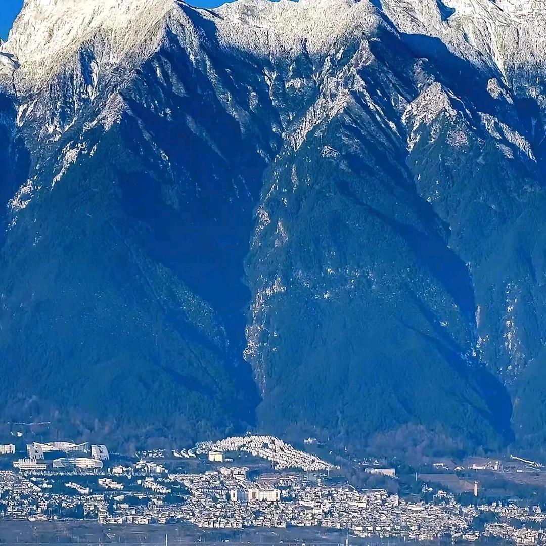 李东艳