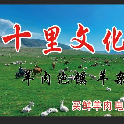十里文化向阳分店。
