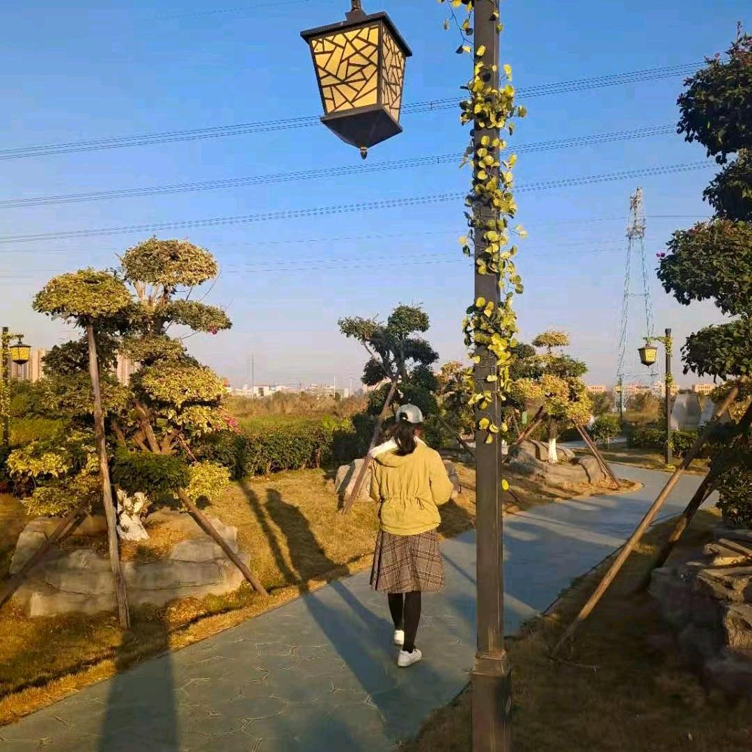 @🥀⃟爱财、悦己²⁰²⁵