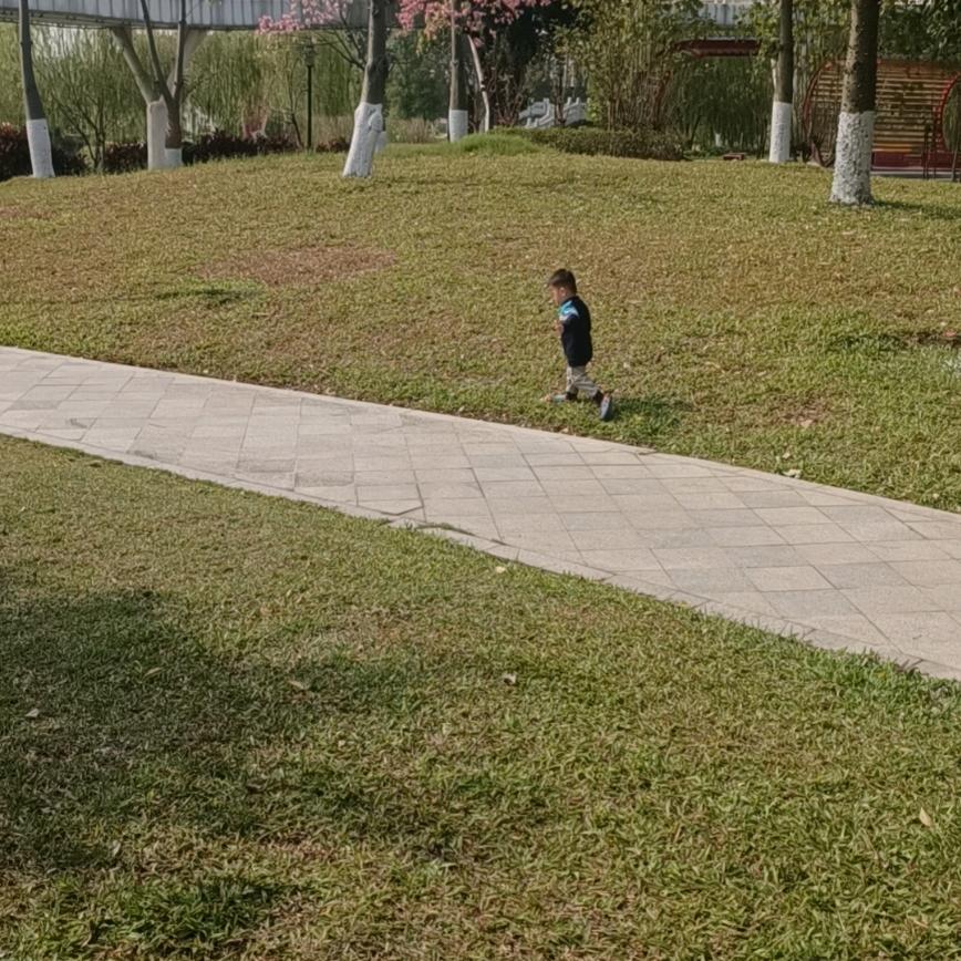 小螃蟹