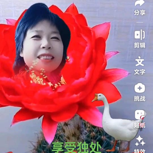 健康长寿