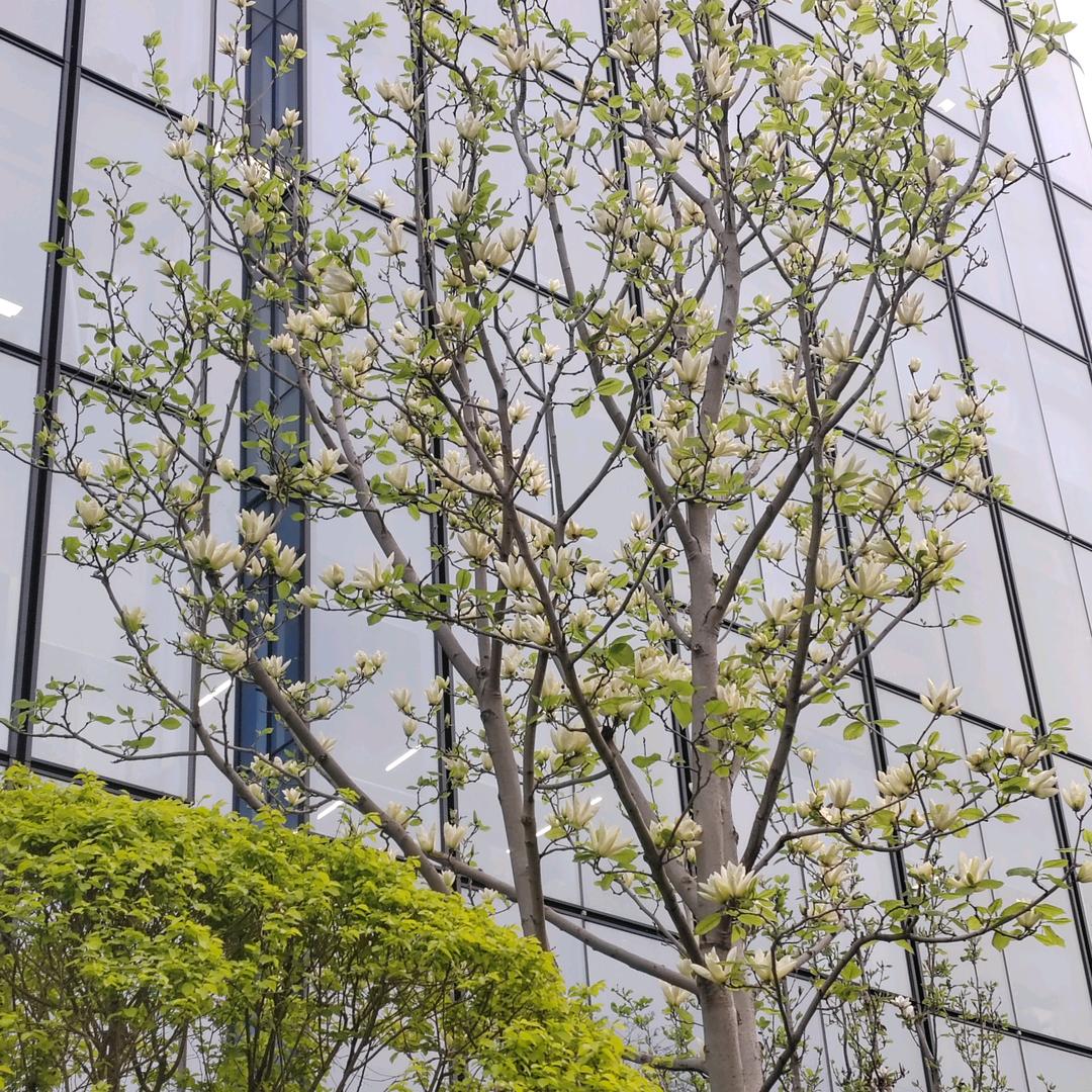 游戏人间