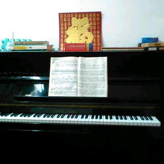 鲜花阳光