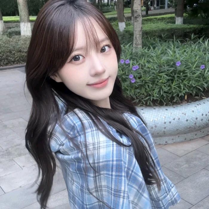 羊羊