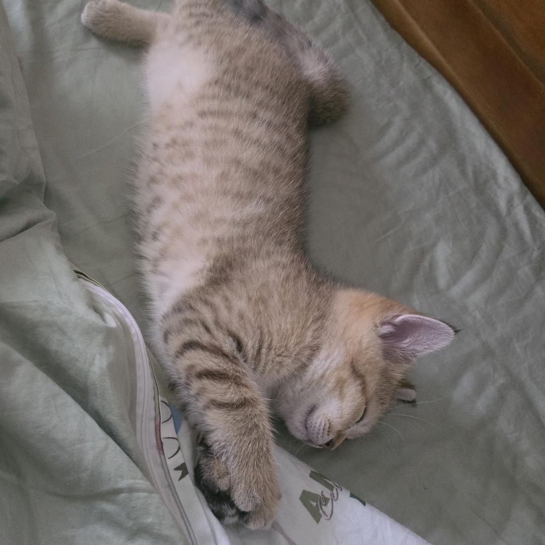 塔里个山红十八弯