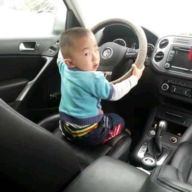 太行山上的一根草