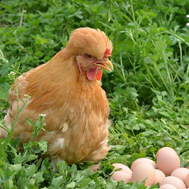 龙湾屯国有农场