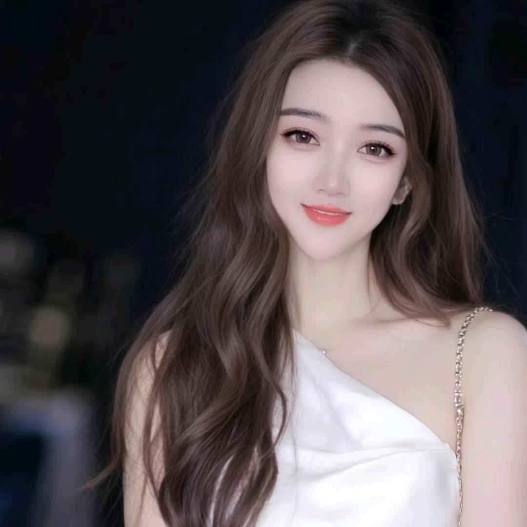 燕子🕊
