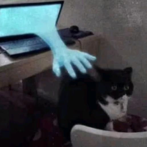 青闫
