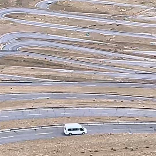 丝路特产